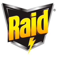 raid